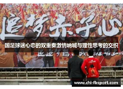 国足球迷心态的双重奏激情呐喊与理性思考的交织