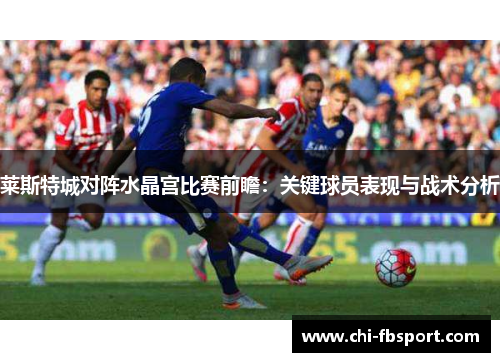 莱斯特城对阵水晶宫比赛前瞻:关键球员表现与战术分析 莱斯特城对阵水晶宫比赛前瞻:关键球员表现与战术分析