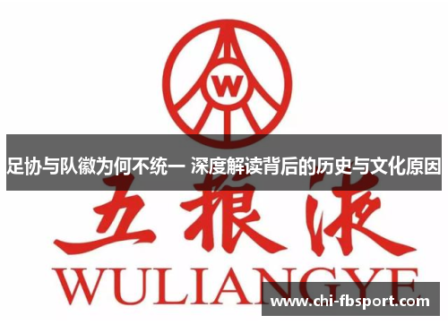 足协与队徽为何不统一 深度解读背后的历史与文化原因 足协与队徽为何不统一 深度解读背后的历史与文化原因
