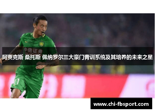 阿贾克斯 桑托斯 佩纳罗尔三大豪门青训系统及其培养的未来之星 阿贾克斯 桑托斯 佩纳罗尔三大豪门青训系统及其培养的未来之星